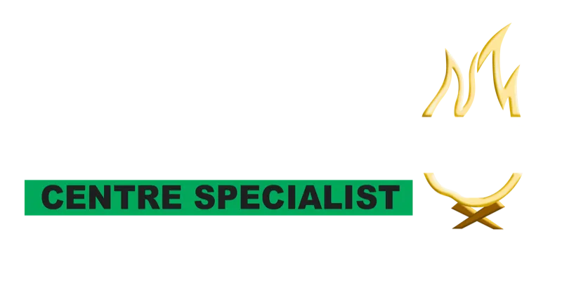 BBQ & Fireplace Centre, Noosa, wood heater dealer in Noosaville
